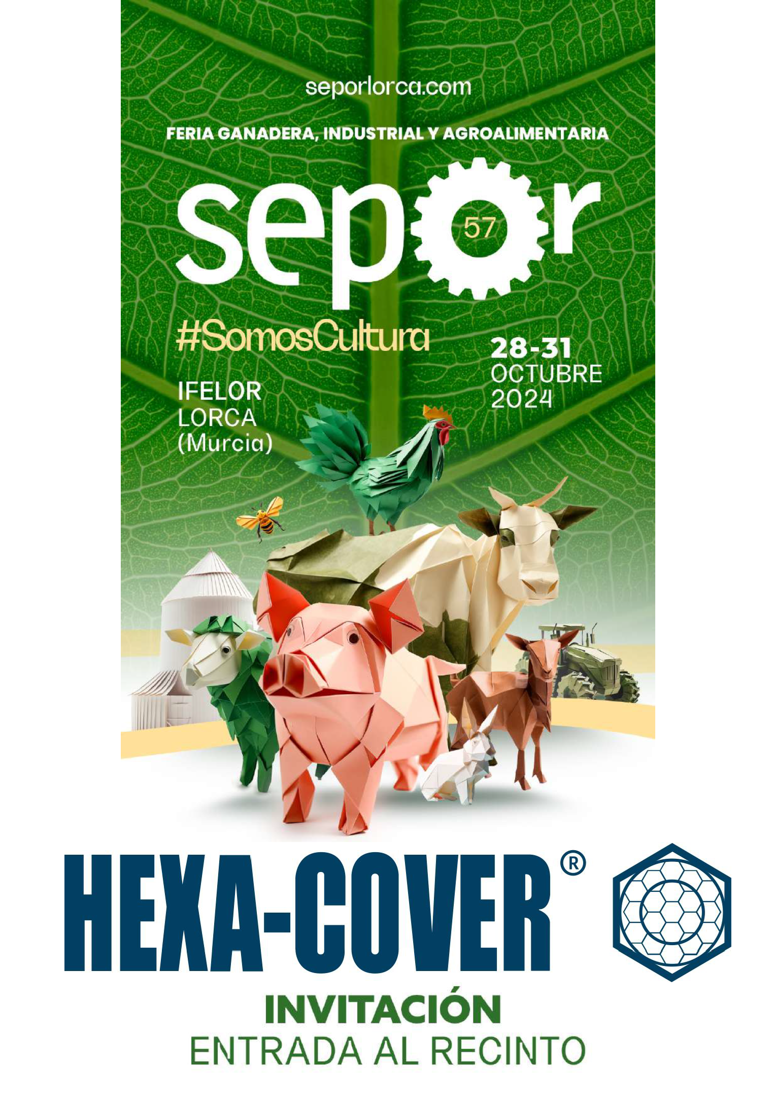 hexa cover